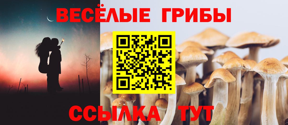 Галлюциногенные грибы прущие грибы  Вход с VPN  Галлюциногенные грибы ЛСД  Губкинский 